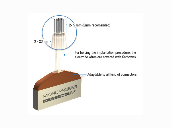 Microprobes for Life Science - Microprobes for Life Science